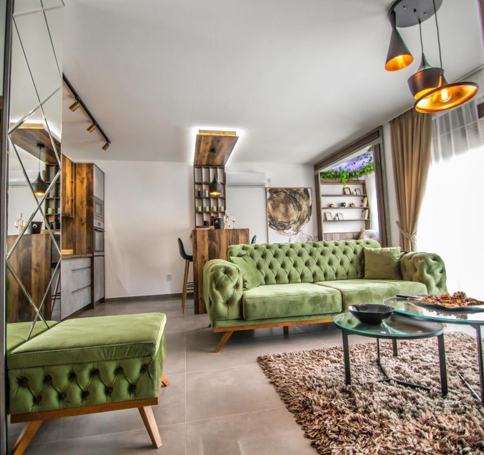 Royal Luxury Apartment Vrsac Esterno foto