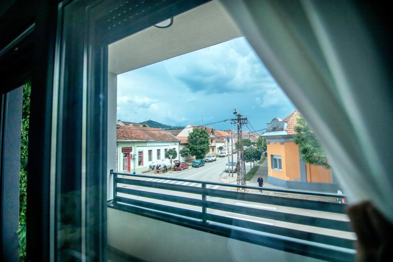 Royal Luxury Apartment Vrsac Esterno foto